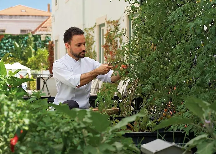 The One Palácio Da Anunciada Lisboa